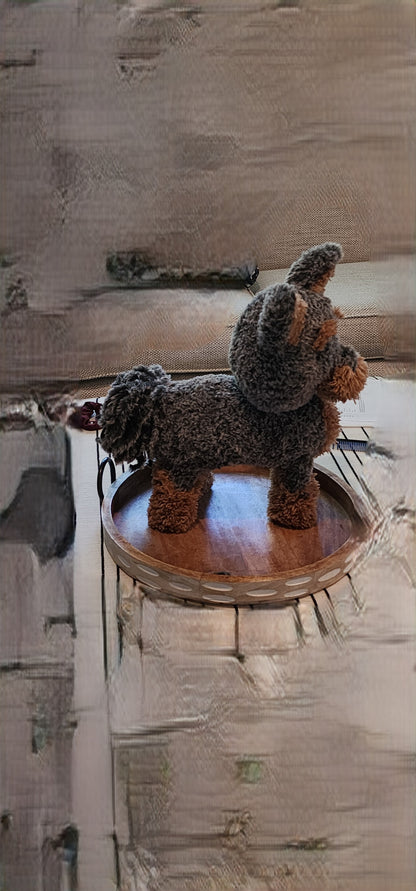 Clementine the Yorkie